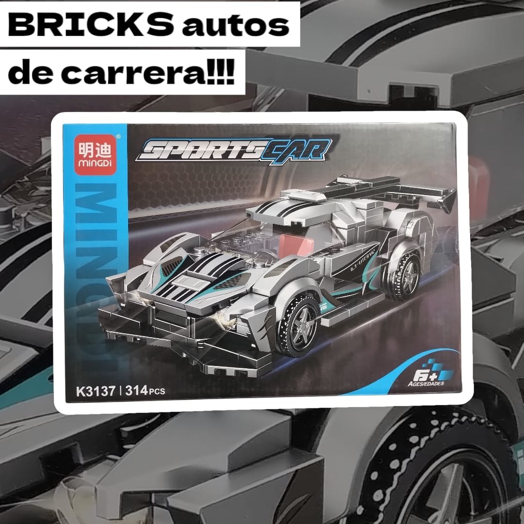 LESGO AUTO DEPORTIVO GRIS