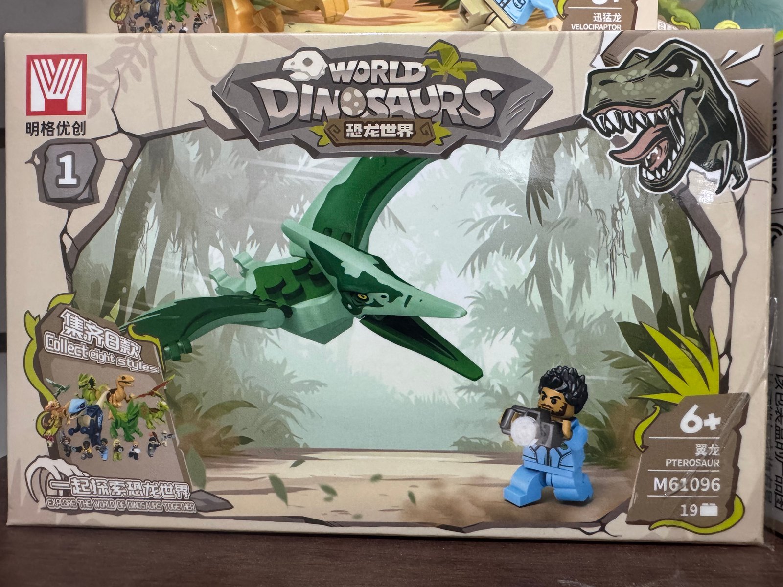 Dinosaurios caja chica (8)