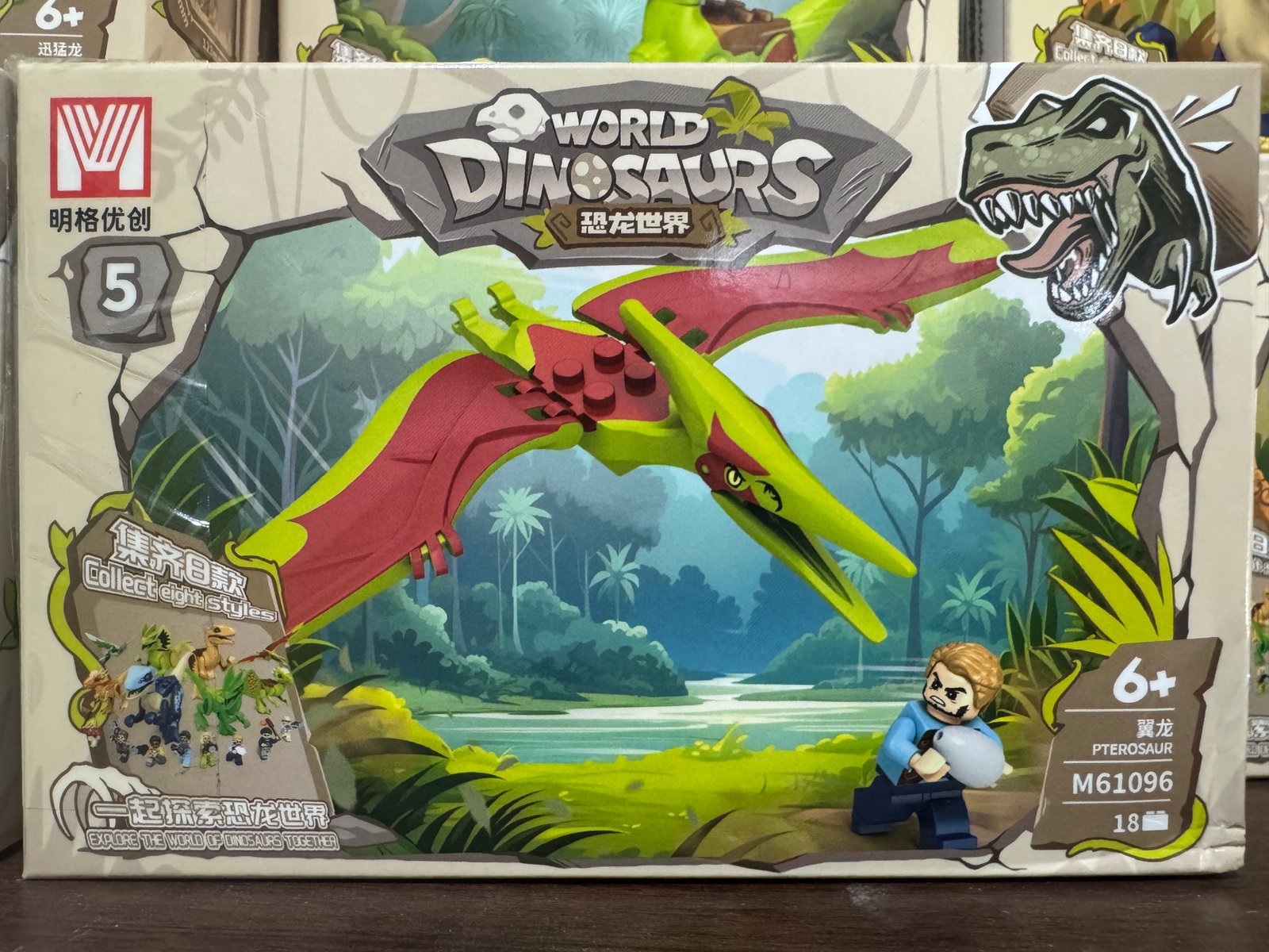 Dinosaurios caja chica (8)