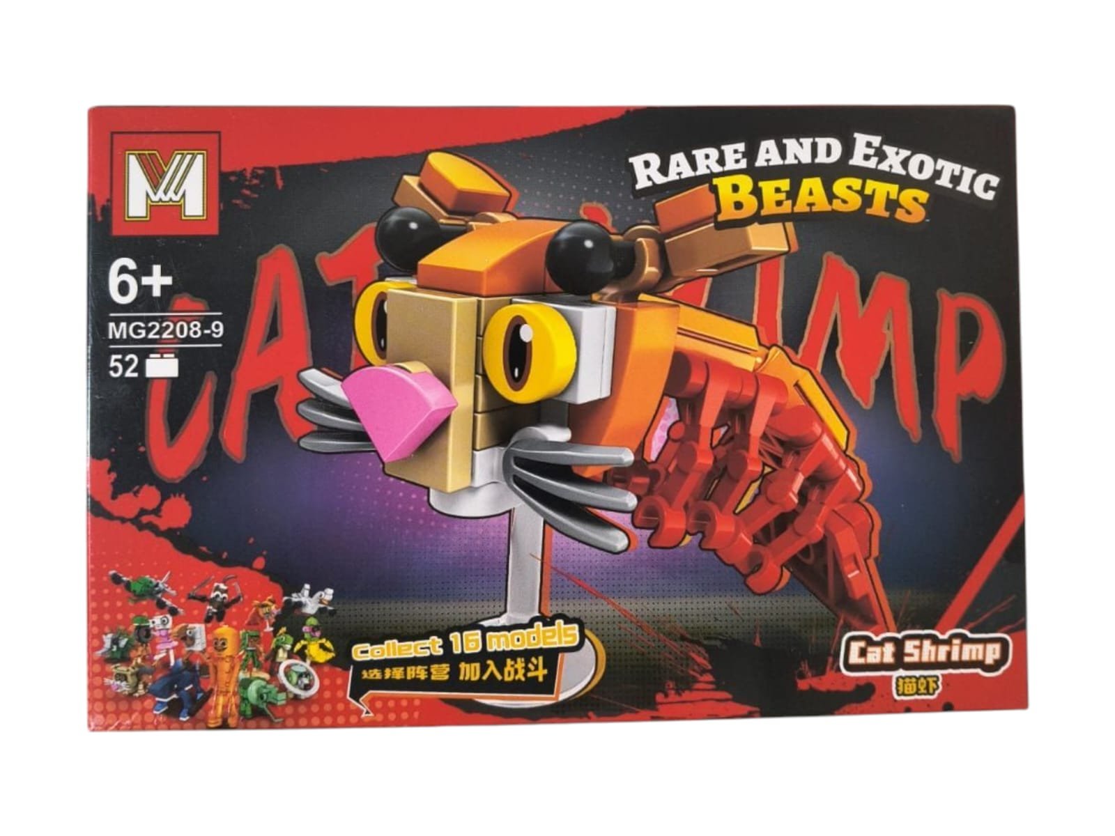 LES BRAIN ROOT chico